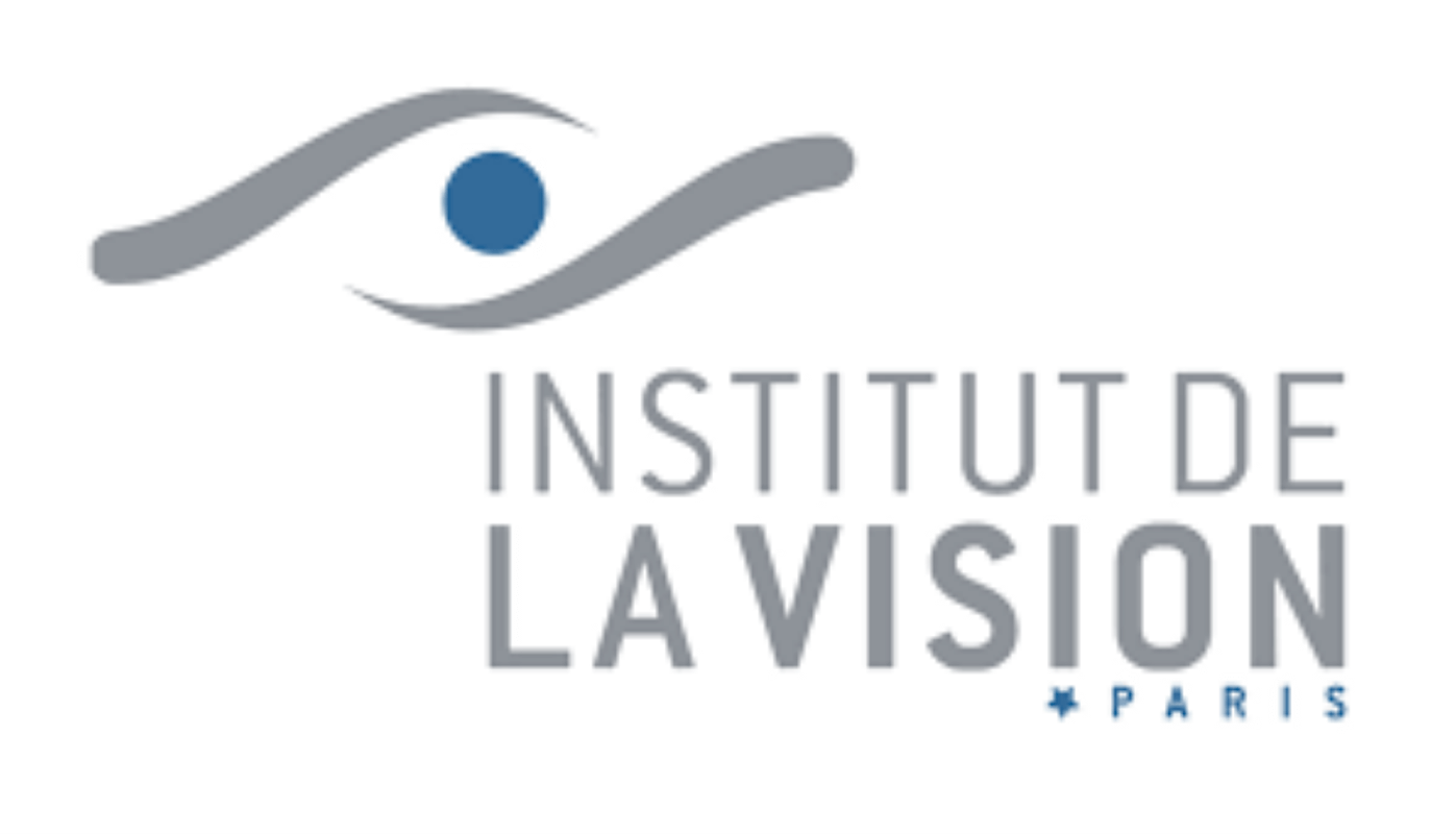 vision (1)